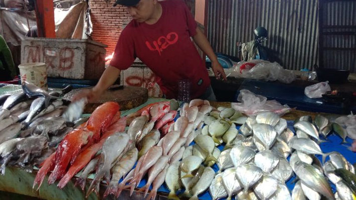 Harga Ikan Kembung Naik di Pasar Panakkukang Makassar, Bahan Pangan Lainnya Tetap Stabil