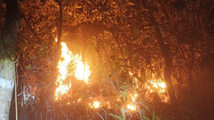 Karhutla Melanda Sejumlah Wilayah Sulsel, 10 Hektare Lahan Terbakar di Enrekang, Ini Langkah Pemprov