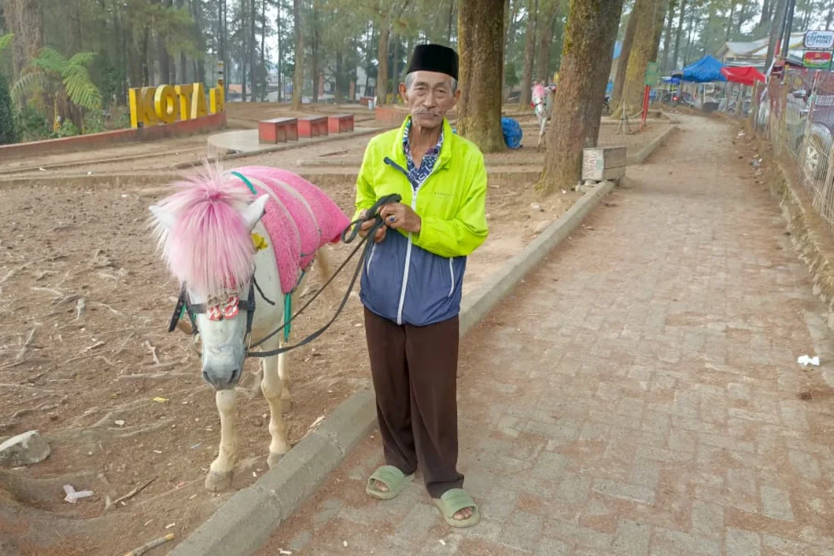 Kisah Daeng Sansu, 30 Tahun Mengais Rezeki dari Kuda Wisata di Malino