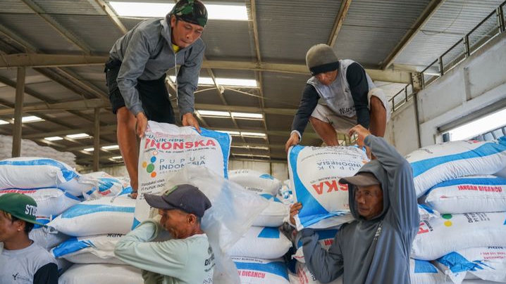 Penjualan Pupuk Indonesia Melonjak 24 Persen Di Sulawesi Selatan