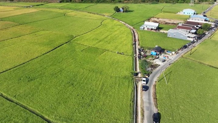 39 Daerah Irigasi Direhabilitasi, 54 Ribu Hektare Sawah di Sulsel Ditarget Bisa Tanam hingga 3 Kali